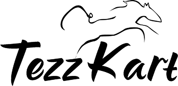 Tezzkart